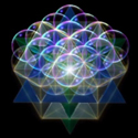 Flower 3D 1