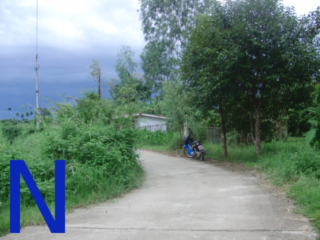 photo14
