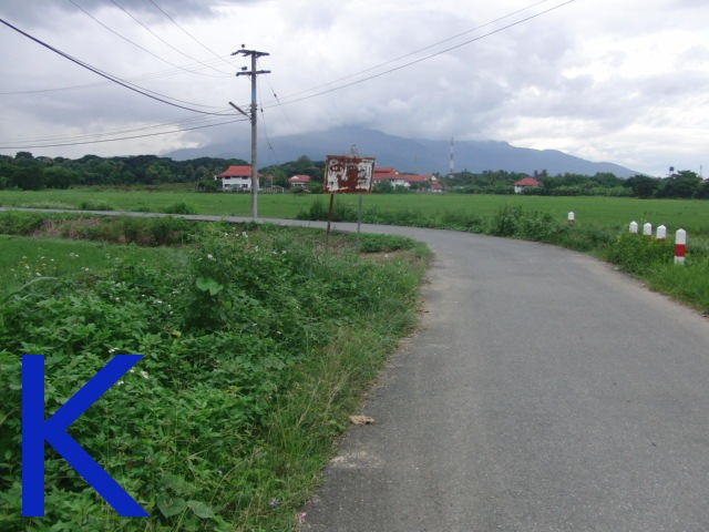 photo11