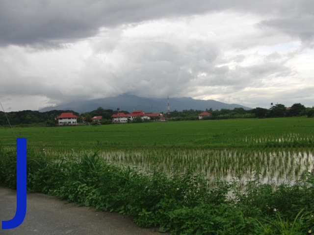 photo10