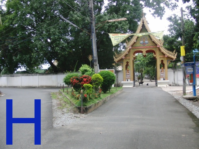 photo8