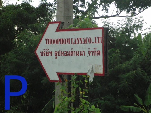 photo16