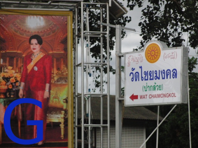 photo7