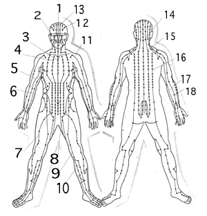 chakras
